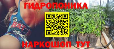 шишки Апрелевка